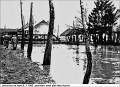 102_1962_ivan_potopa_osvoboditelu23 (3)u_p